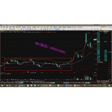 文秋明 黄金分割波浪尺成交量时间周期波段综合分析 股票内部培训视频课程